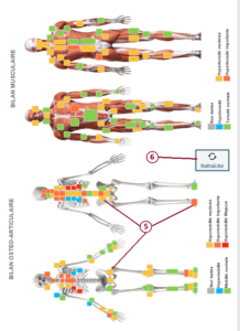 Bilan 3 : Schémas musculosquelettiques