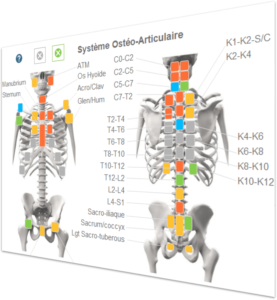 Logiciel d'ostéopathie Diagnosteo