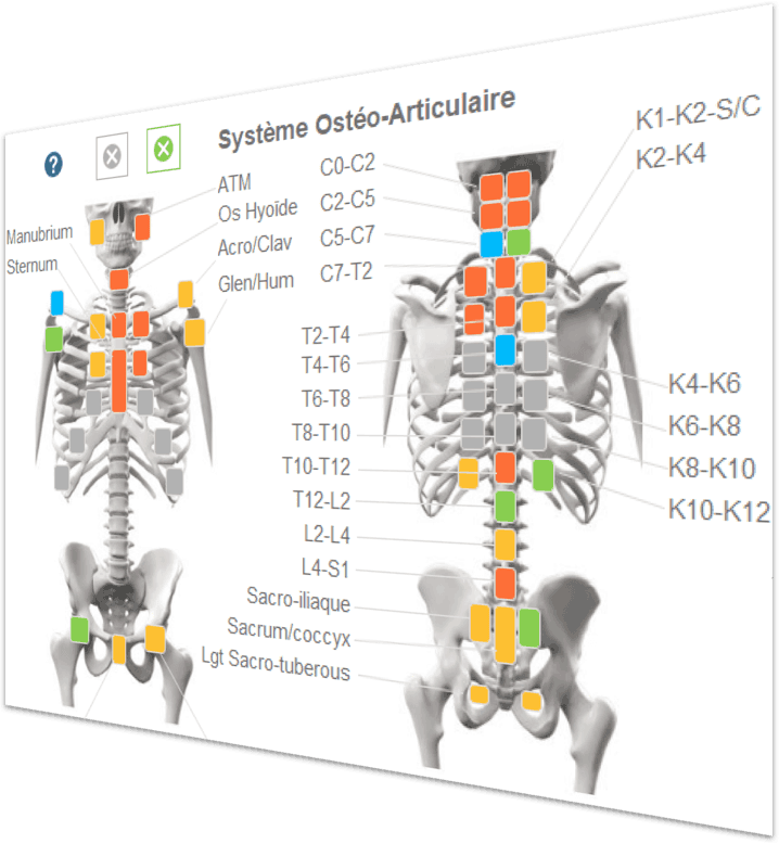 Logiciel d'ostéopathie Diagnosteo