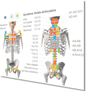 Logiciel d'osteopathie