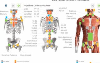 Saisie du diagnostique axial proximal sur le logiciel d'ostéopathie